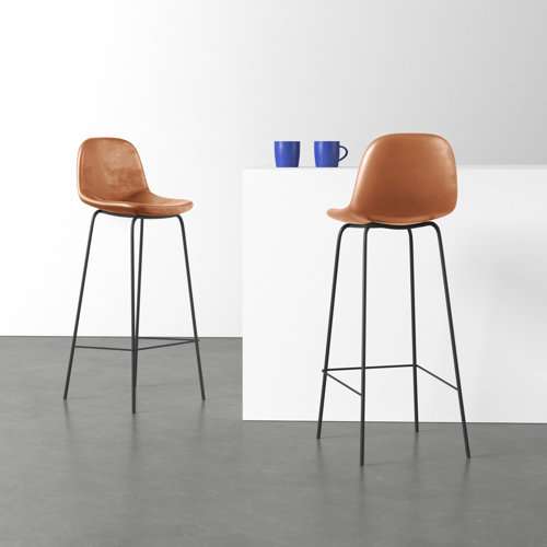 Kody Bar & Counter Stool & Reviews AllModern